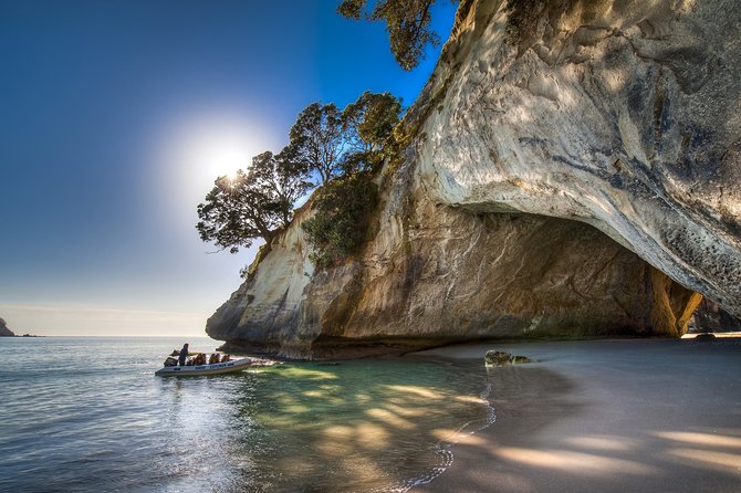 Coromandel Peninsula Discovery - Private Tour From Auckland - Who Will Enjoy This Day Most