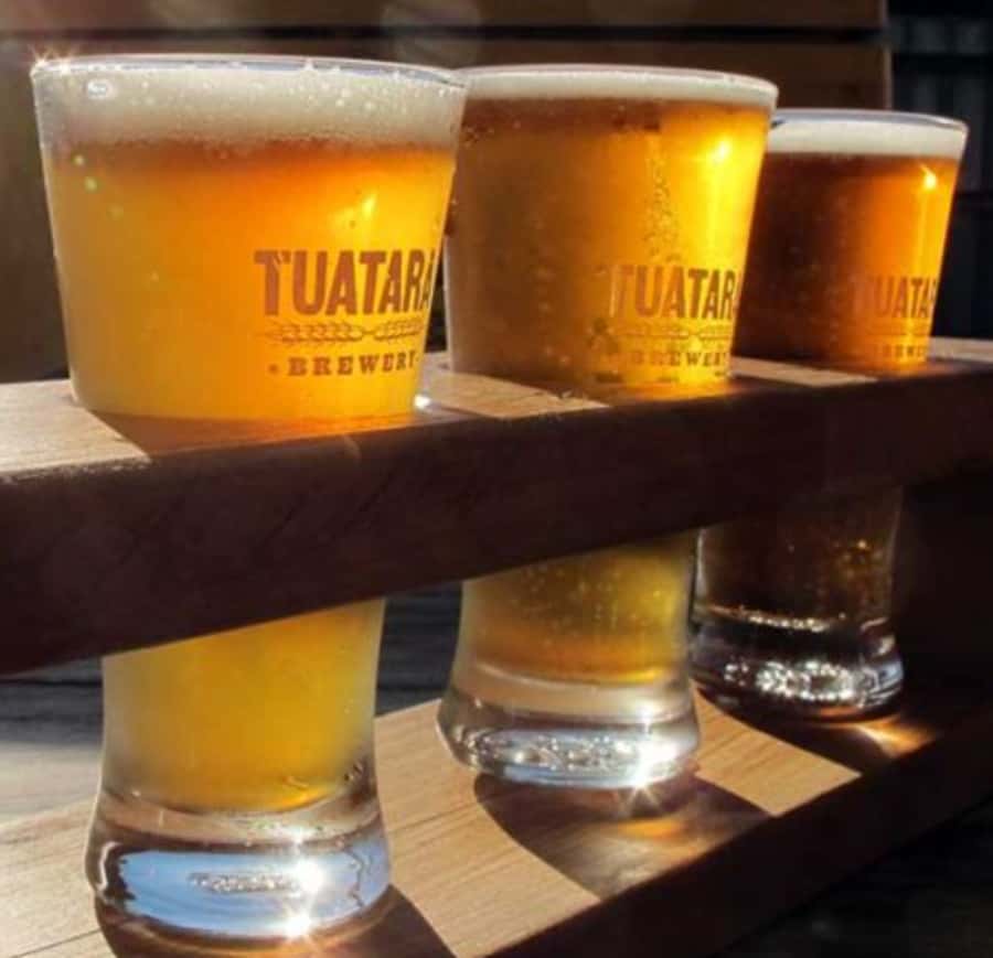 Craft beers & car museum - Half Day Tour - Cars Inc: a museum for more than car collectors