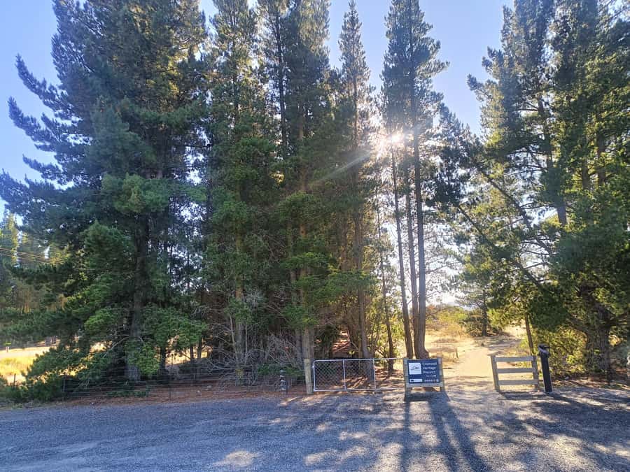 Cromwell: Lake Dunstan Trail Bike Rental and Luxury Shuttle - Who should book this experience?