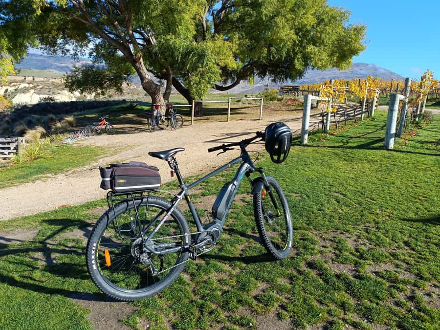 Cromwell: Lake Dunstan Trail Bike Rental and Luxury Shuttle - The luxury shuttle back to Cromwell