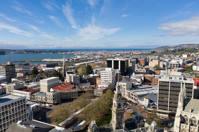 Cruise Dunedin City and Castle Tour - Why this tour works for a cruise stop