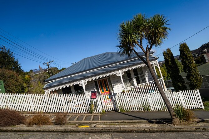 Cruise Dunedin City and Castle Tour - Crossing the Otago Peninsula by the high road
