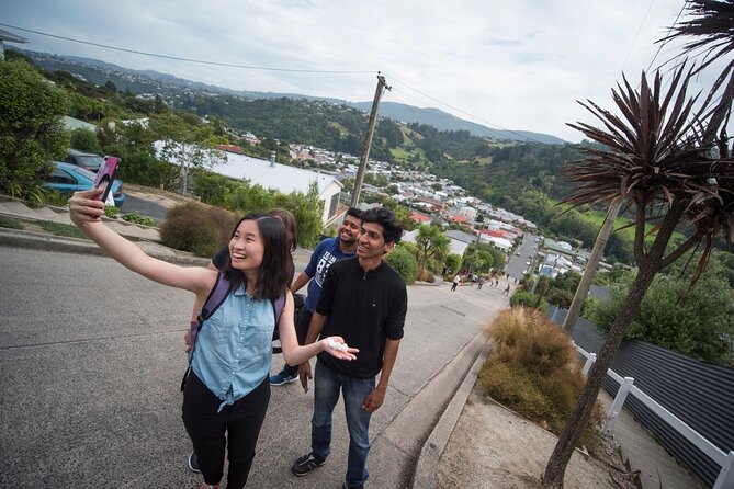 Cruise Dunedin City and Castle Tour - Larnach Castle and gardens: the main event