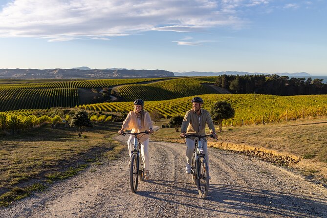 Cruise Excursion Self Guided Biking Wine Tour - Key points to know before you book