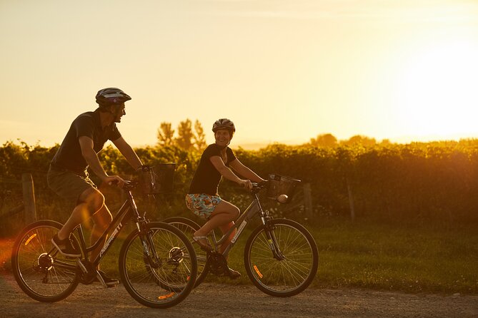Cruise Excursion Self Guided Biking Wine Tour - The useful bottle collection service