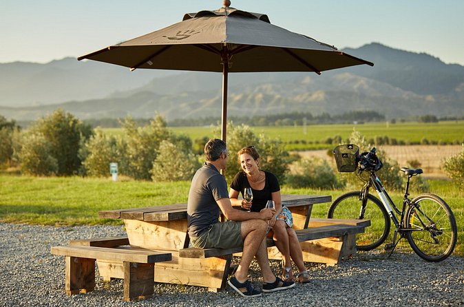 Cruise Excursion Self Guided Biking Wine Tour - Choosing between standard bikes, e-bikes, and tandems