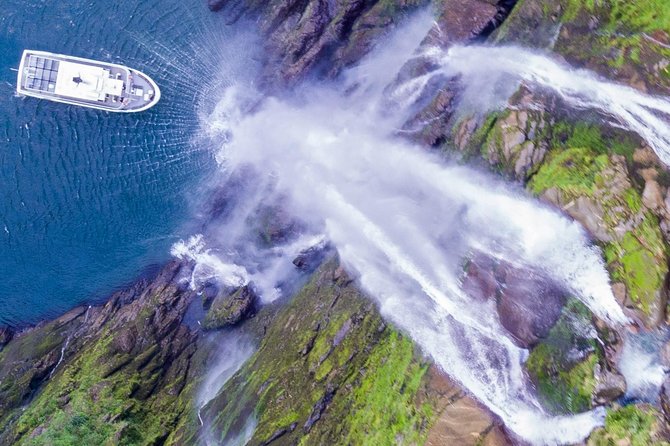 Cruise Milford NZ Small Boutique Cruise Experience - Key points to know before you book