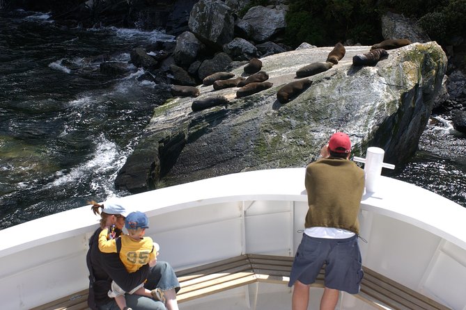 Cruise Milford NZ Small Boutique Cruise Experience - Mitre Peak and the first great views