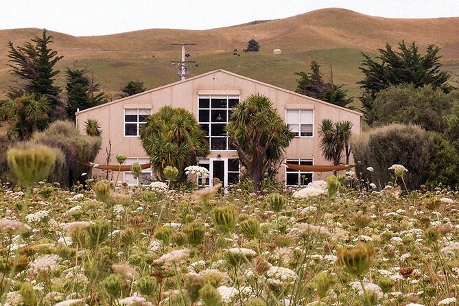 CRUISE SHIP DAY LYTTELTON Hop On Hop Off Wine Tours to Waipara - The Waipara wineries worth prioritizing