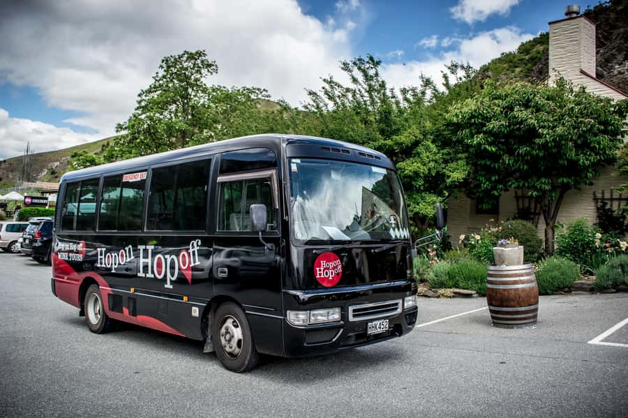 CRUISE SHIP DAYS - HOP ON HOP OFF - Wine, Beer, Food Tour - Choosing between 26 Marlborough stops