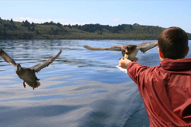 Daily Scenic Maori Rock Carving Cruise Taupo - The ride across the lake and through its bays