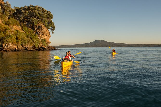 Day sea kayak tour Rangitoto Island - Key points to know before you book