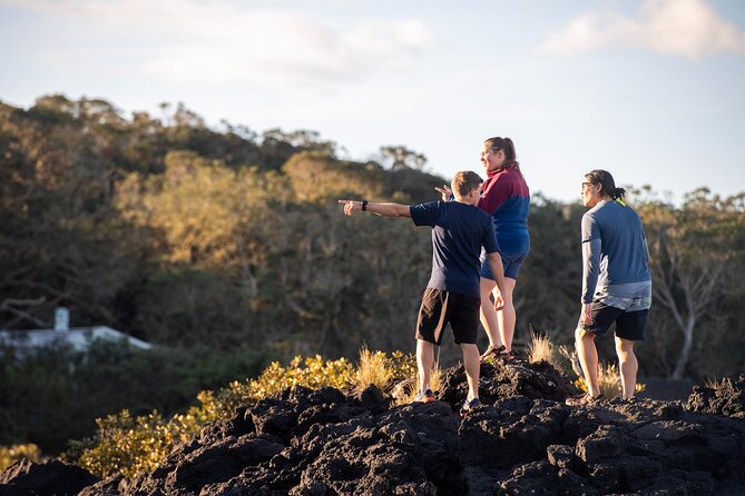Day sea kayak tour Rangitoto Island - Why this Auckland day trip works so well