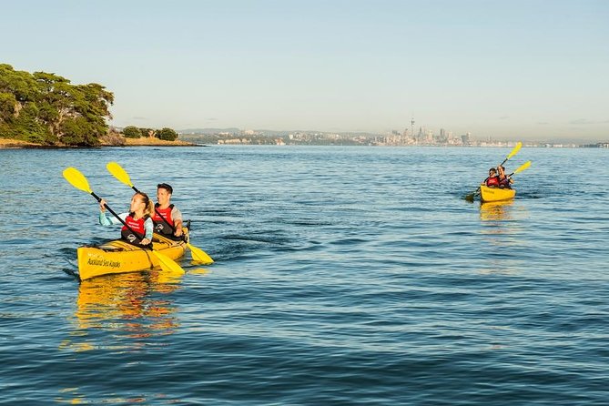 Day sea kayak tour Rangitoto Island - A Kiwi BBQ beside the water