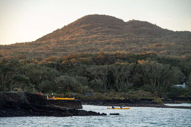 Day sea kayak tour Rangitoto Island - Guide quality and group atmosphere