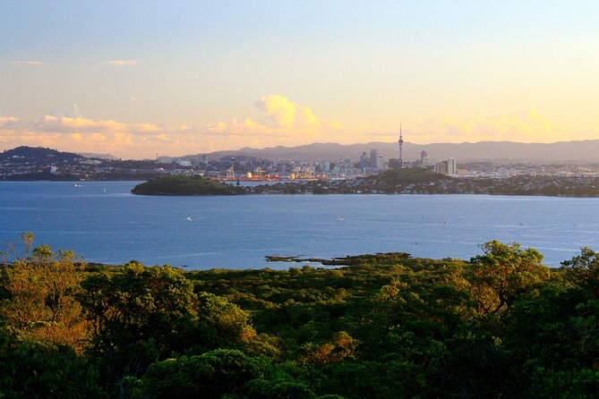 Day sea kayak tour Rangitoto Island - Crossing Waitemata Harbor by kayak