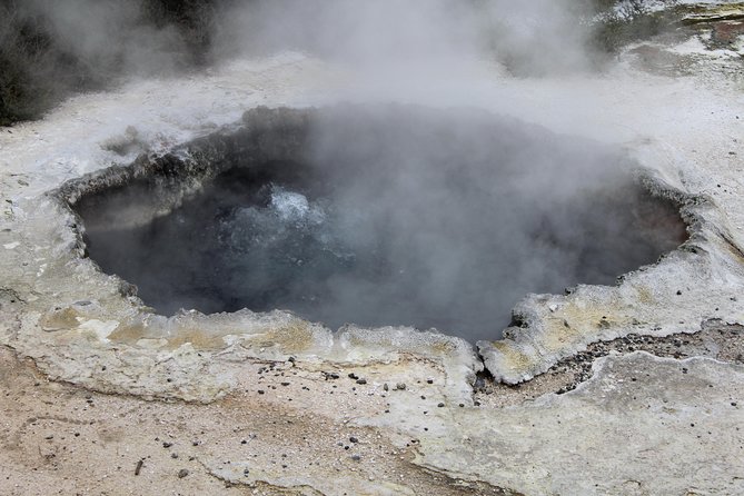 Day Tour Hobbiton + Rotorua from Auckland in Luxury Minibus - Te Puia lunch and Māori culture