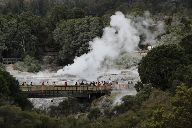 Day Tour Hobbiton + Rotorua from Auckland in Luxury Minibus - Is $312.77 good value?
