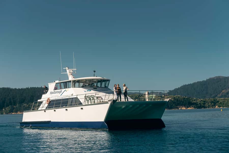 Depart Picton: Marlborough Sounds Afternoon Seafood Cruise - Practical advice for a smoother afternoon