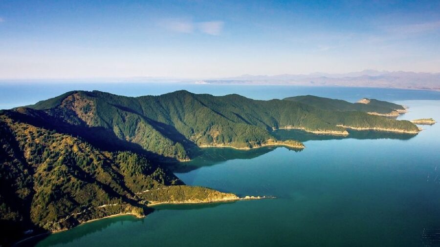 Depart Picton: Marlborough Sounds Afternoon Seafood Cruise - Timing matters more than you might expect