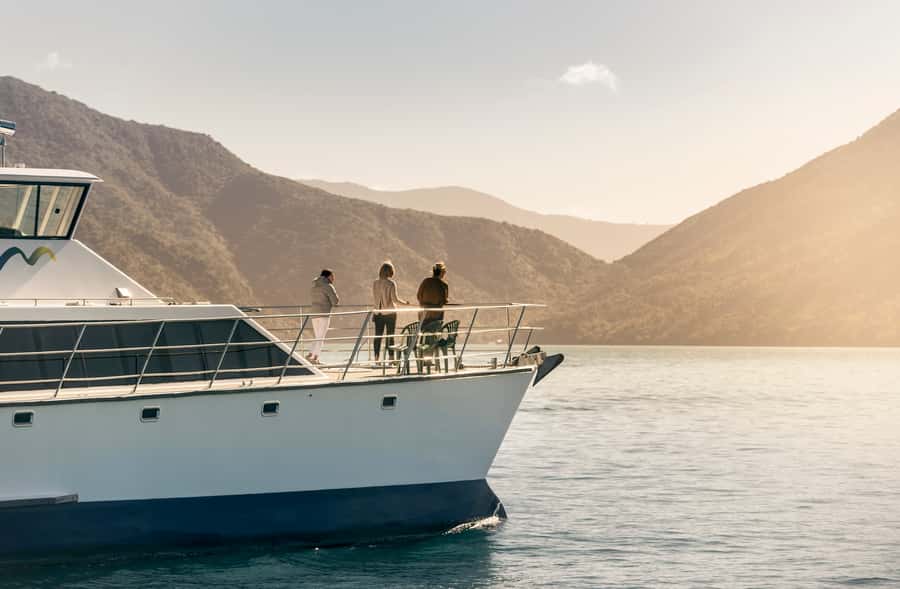 Depart Picton: Marlborough Sounds Afternoon Seafood Cruise - Who will enjoy this cruise most?