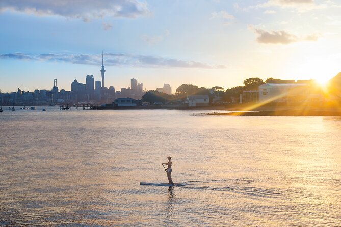 Discover Auckland City Tour: The City of Sails - A fast, useful introduction to Auckland