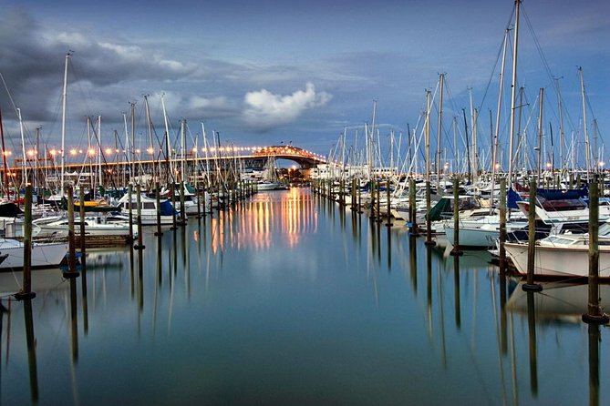 Discover Auckland City Tour: The City of Sails - Mount Eden and the final high view