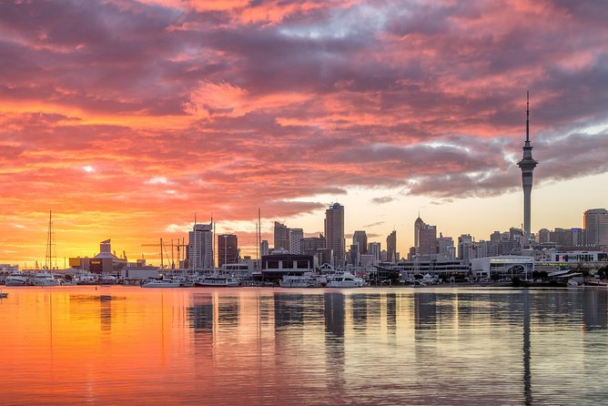 Discover Auckland City Tour: The City of Sails - What $108.60 includes, and what it does not