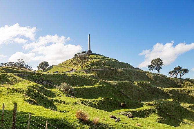 Discover Auckland City Tour: The City of Sails - Timing, pickup, and practical limits