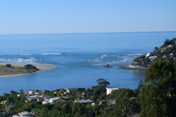 Discover Christchurch Sightseeing Tour - Downtown Christchurch and the city’s difficult recent story