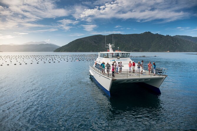 Discover Marlborough Wine - Afternoon Marlborough Wine Tour - The guides make the small group feel friendly