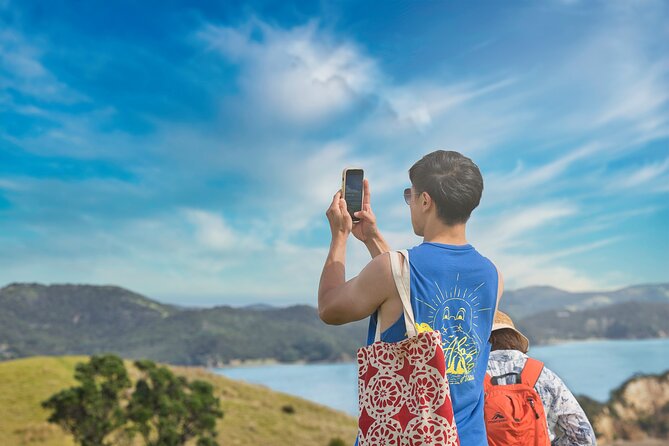 Discover the Bay - Hole in the Rock cruise includes Island Lunch - Watching dolphins and other marine life