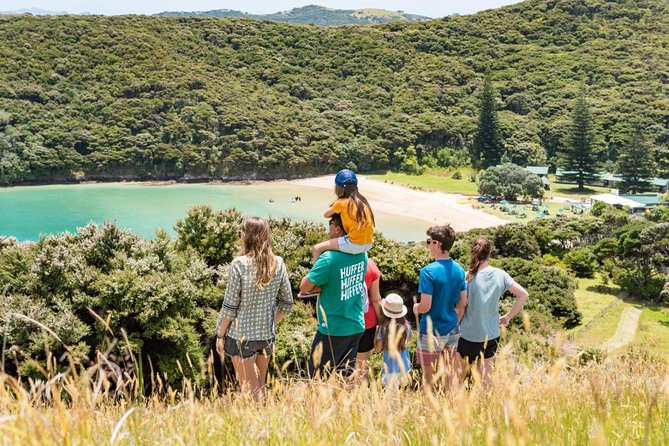 Discover the Bay - Hole in the Rock cruise includes Island Lunch - Lunch and free time at Otehei Bay