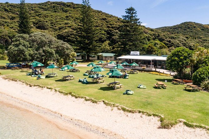 Discover the Bay - Hole in the Rock cruise includes Island Lunch - Practical details that can save you trouble