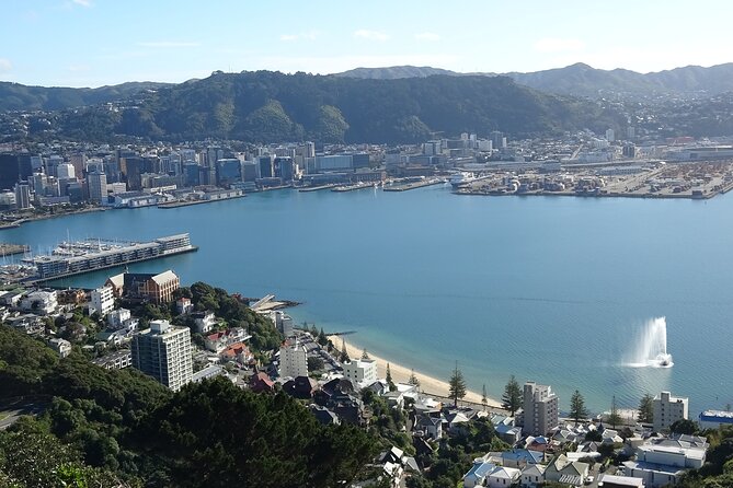 Discover Wellington 3 hour City Tour - Key points to know before booking