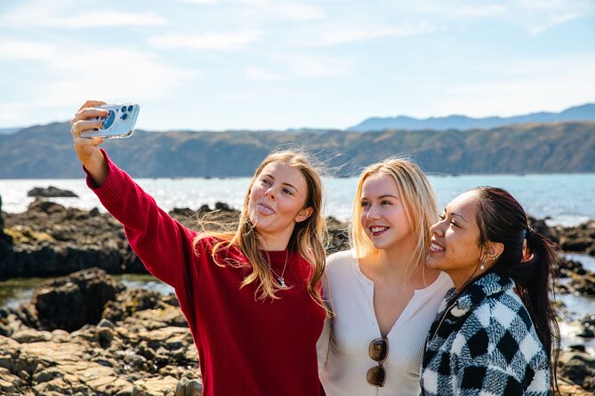 Discover Wellington 3 hour City Tour - Courtenay Place, Cuba Street, and the city center