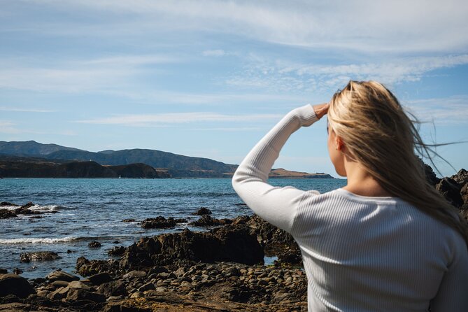 Discover Wellington 3 hour City Tour - The Wellington Cable Car is brief but worthwhile