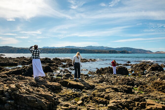 Discover Wellington 3 hour City Tour - Miramar and Wellington’s film connections