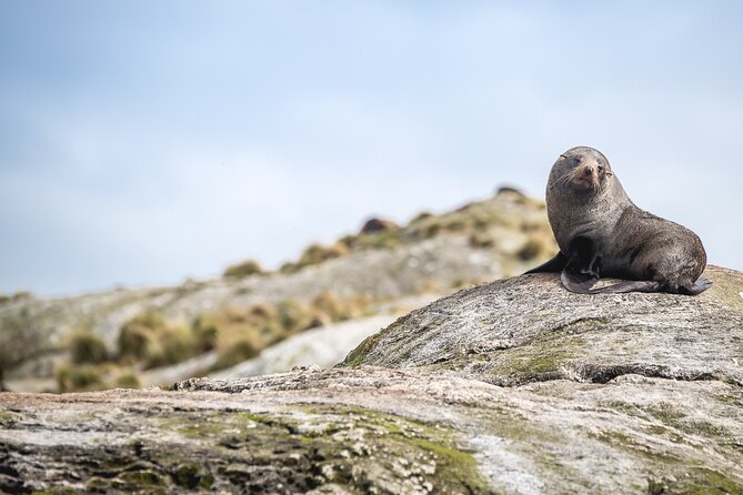 Doubtful Sound Wilderness Cruise from Queenstown - Food, comfort, and the long return
