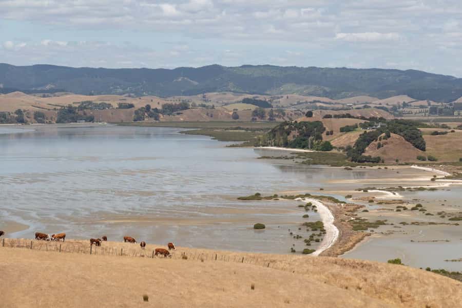 Duder Regional Park Walking Tours - Key points at a glance
