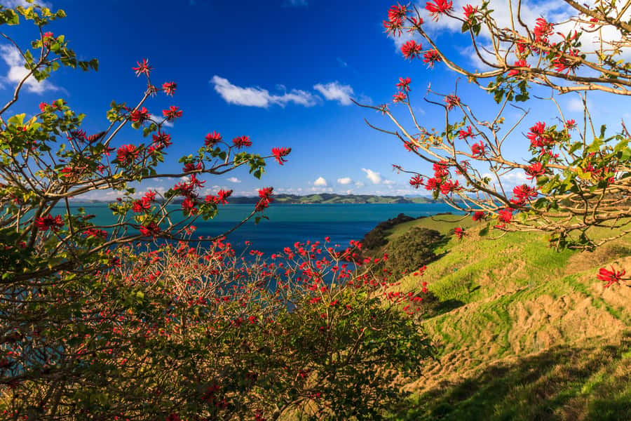 Duder Regional Park Walking Tours - The four-hour loop for a shorter outing