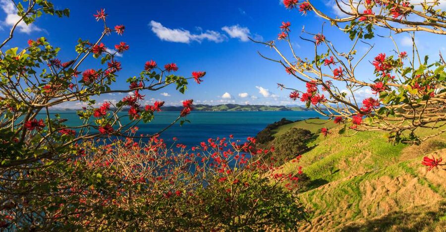 Duder Regional Park Walking Tours - Te Ara Hura and the mixed terrain