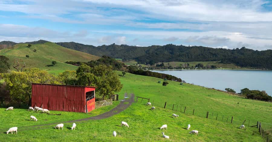 Duder Regional Park Walking Tours - Starting at the main car park
