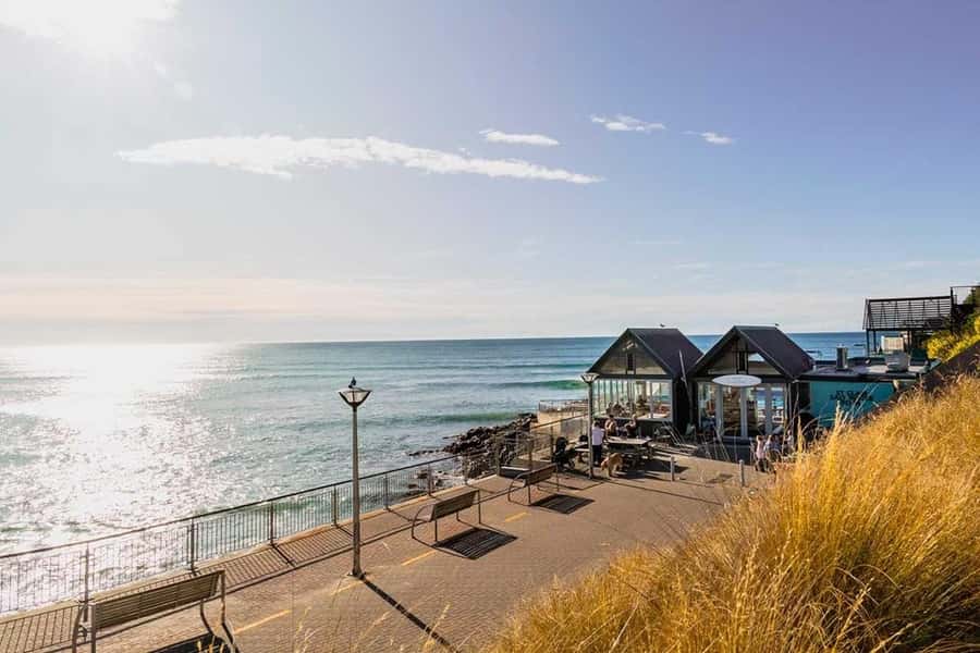 Dunedin: 3 Hour Artisan Food Walking Tour - Key points to know before you book