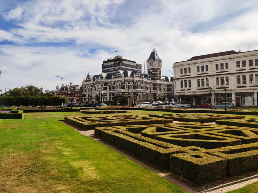 Dunedin City & Coastal Views 3-Hour Small-Group Tour - Five things worth knowing before you book