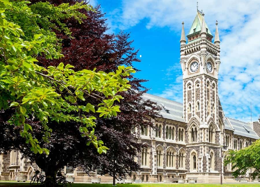 Dunedin City & Coastal Views 3-Hour Small-Group Tour - Baldwin Street offers a quick dose of Dunedin oddity