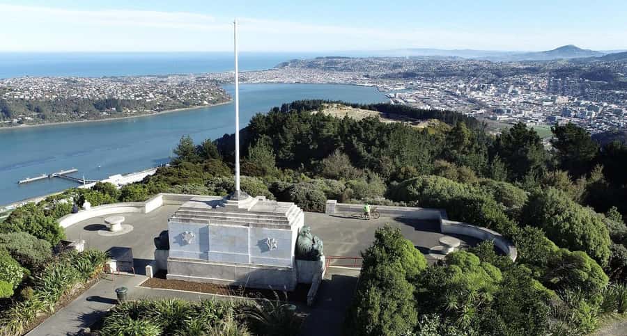 Dunedin City & Otago Peninsula Scenery Day Tour - Why this tour works for a cruise day