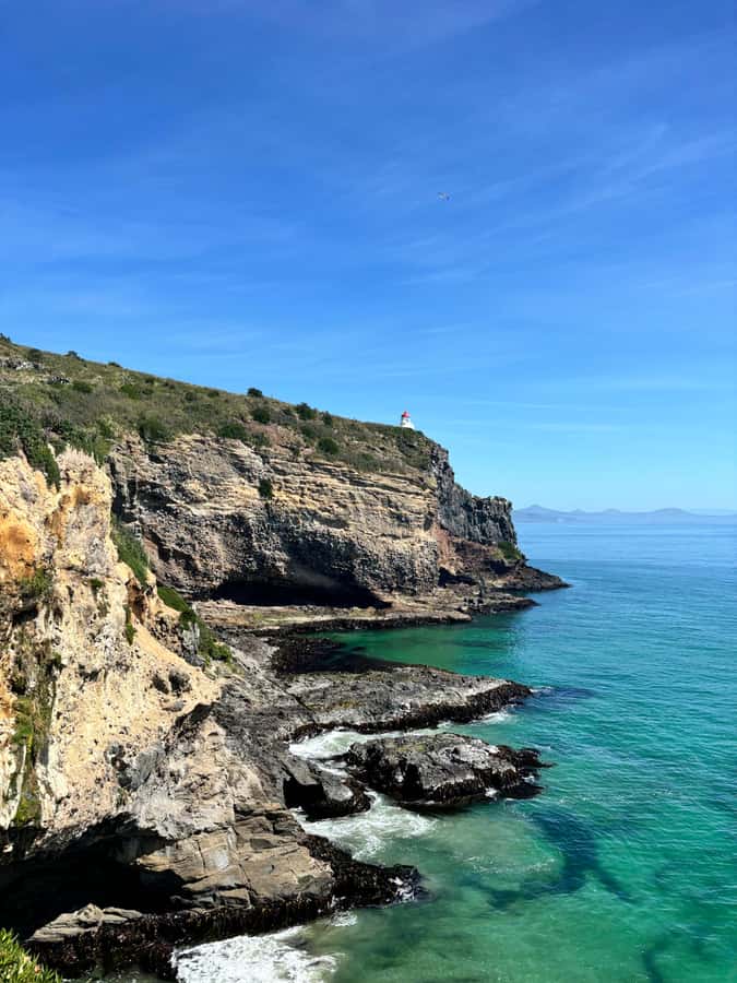 Dunedin City & Otago Peninsula Scenery Day Tour - Baldwin Street keeps the city tour playful