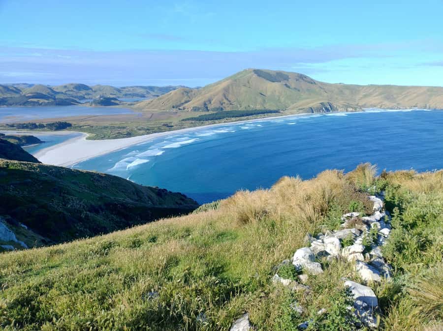 Dunedin City & Otago Peninsula Scenery Day Tour - Sir Leonard Wright Lookout opens the peninsula