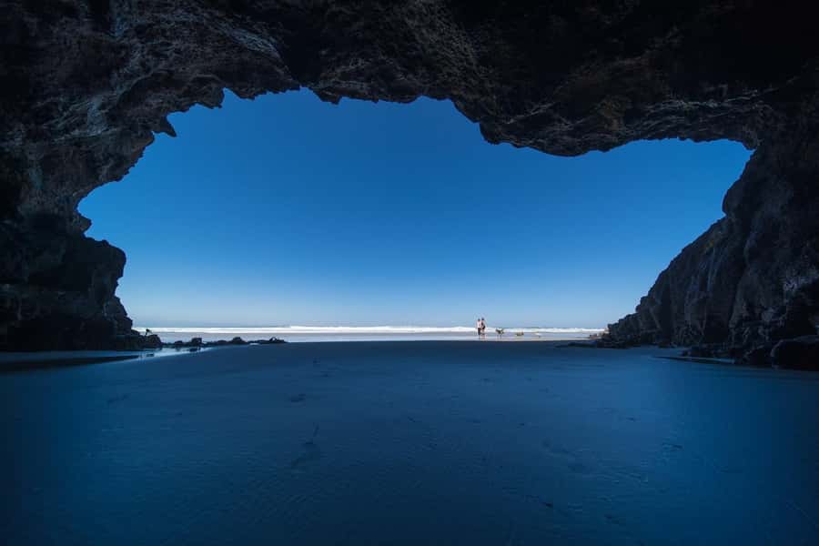 Dunedin City & Otago Peninsula Scenery Day Tour - Taiaroa Head and the Royal Albatross Centre